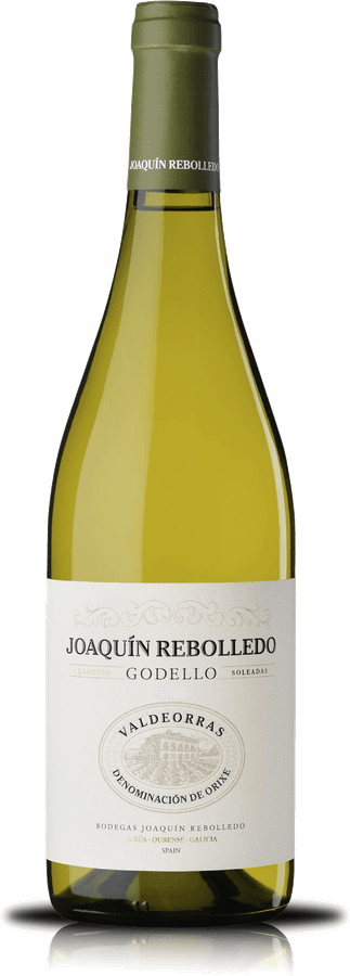 Joaquín Rebolledo Godello
