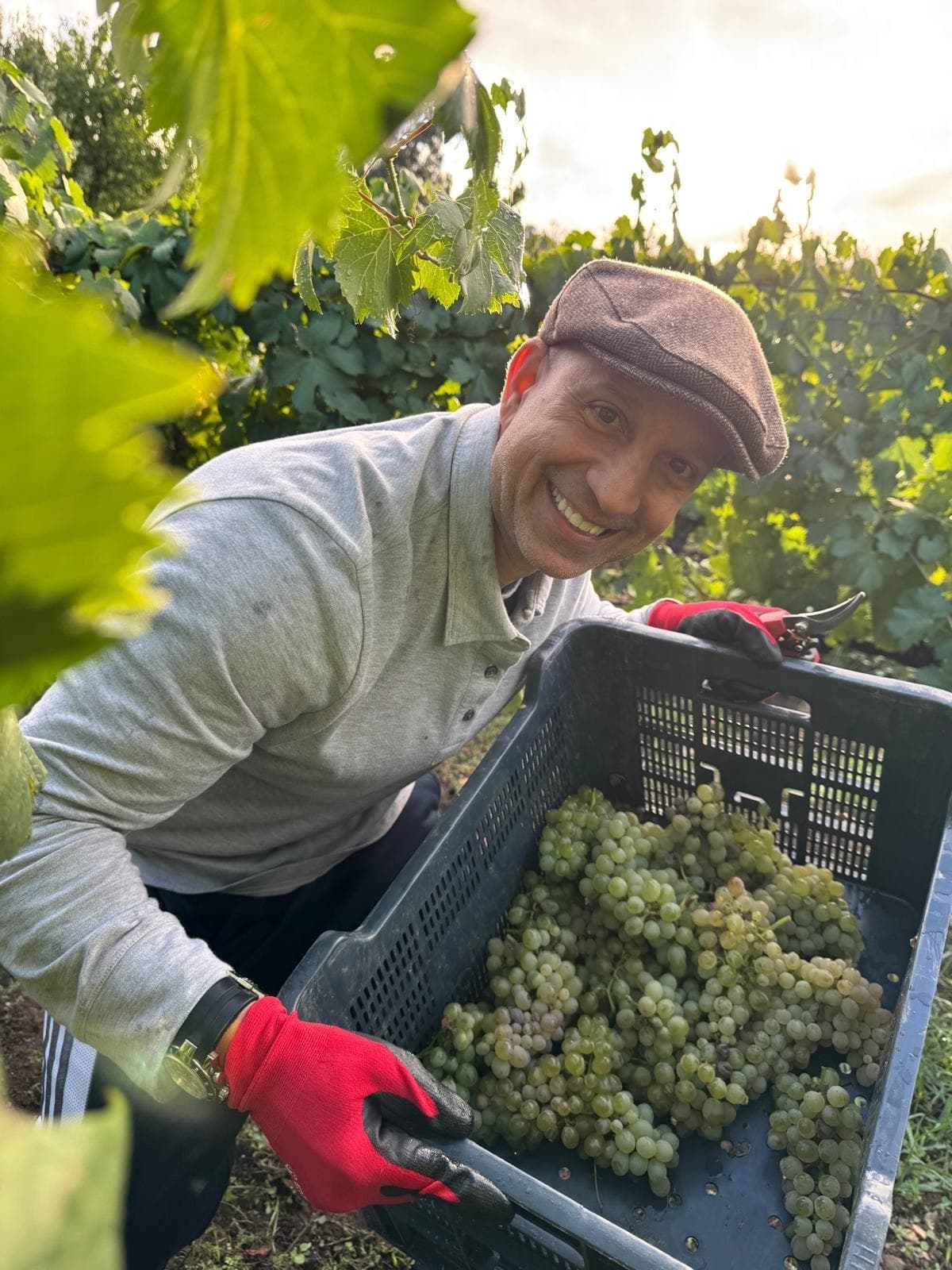 Gustavo Piteo, Real Vinum's sommelier