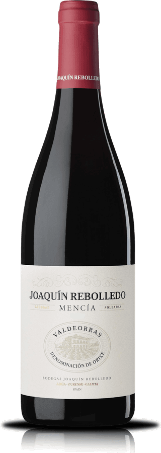 Joaquín Rebolledo Mencía